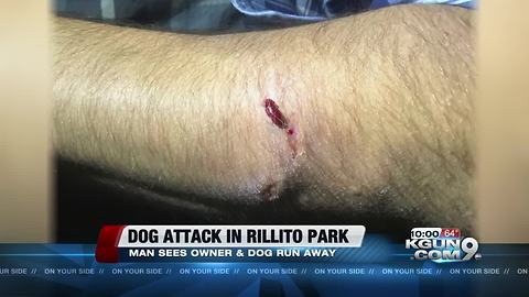 Dog bites man at Rillito River Park; victim asks for help to find dog's owner