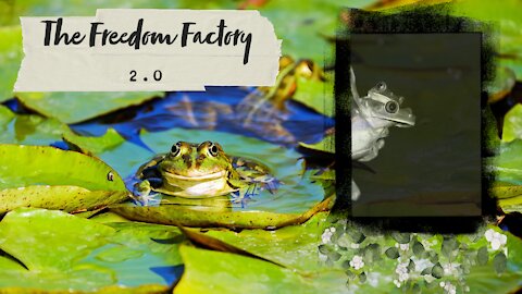 The Freedom Factory Edition 2.0