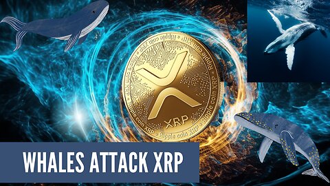 XRP Price Drops | Whales Attack