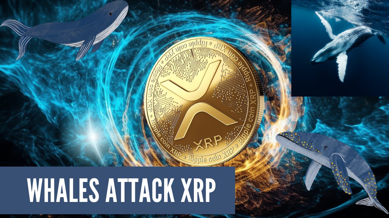 XRP Price Drops | Whales Attack