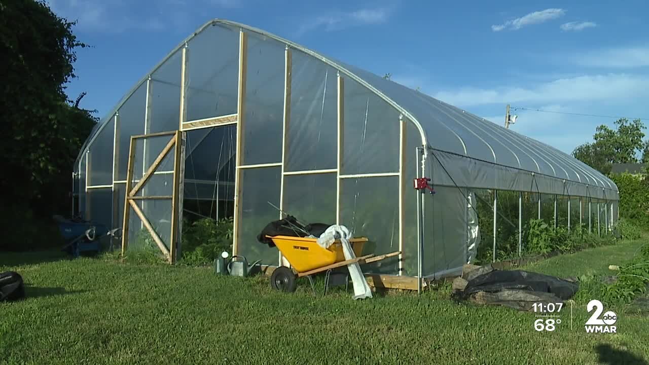 'Why now' The fight to save a community garden in Cherry Hill