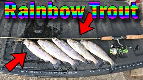 Everything You NEED to Know on Catching Stocked Fish | How to Catch Rainbow Trout !