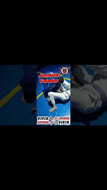 🔥 Armlock Volador 🔥 #jiujitsu #shorts #mma
