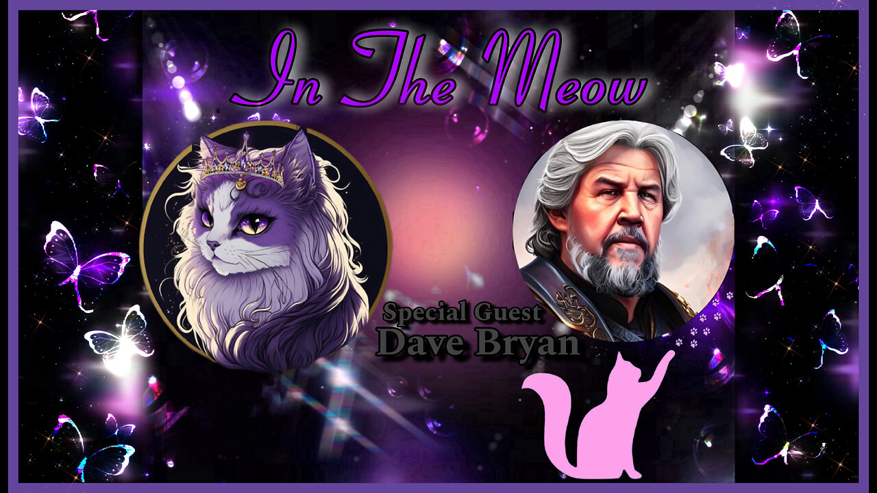 In The Meow | With Special Guest Dave Bryan