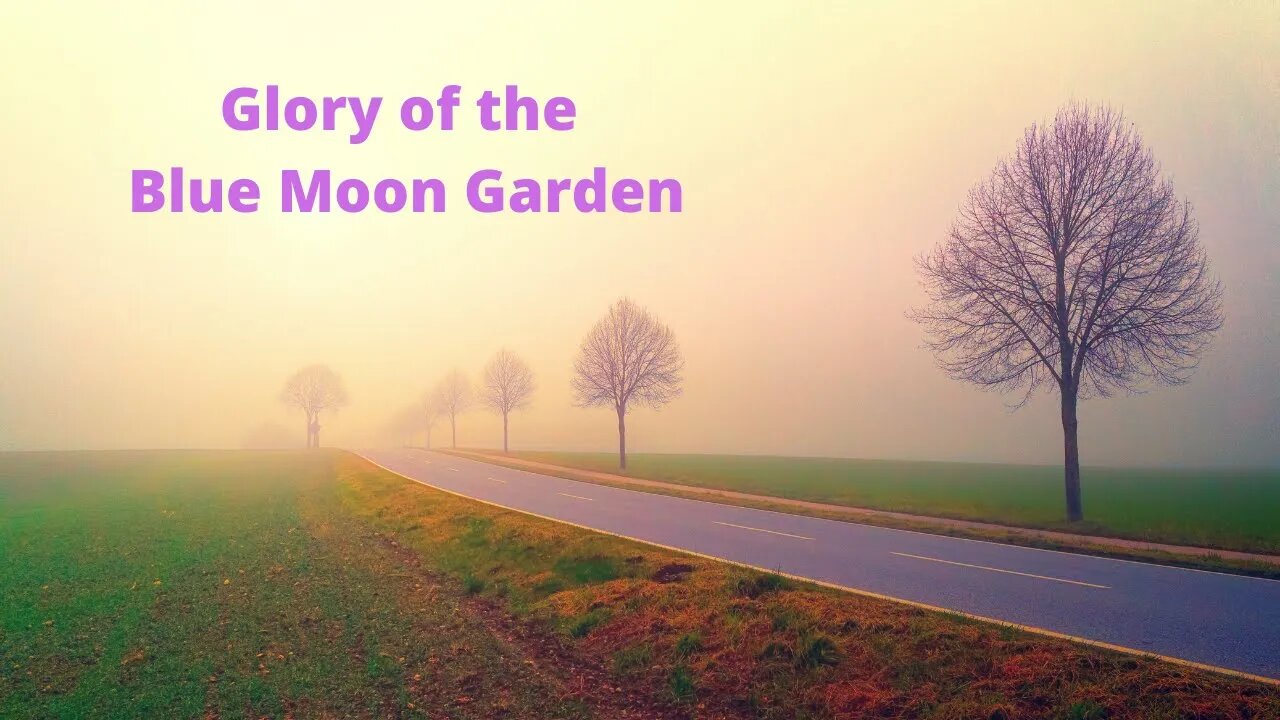 Glory of the Blue Moon Garden | Pop Music