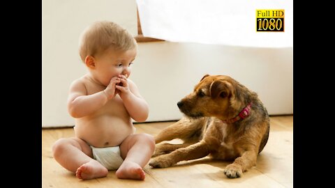 Cute Expression of Animals with Babies & their owners