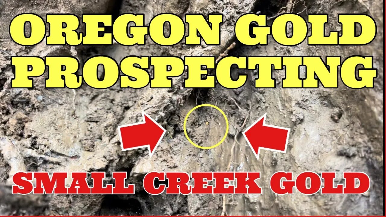 ⭐️ OREGON GOLD PROSPECTING ⭐️ ROADSIDE CREEK GOLD CAN BE GREAT