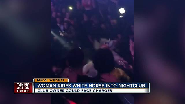 Florida nightclub under investigation after woman rode white horse into crowd