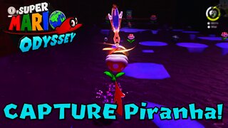 Super Mario Odyssey | How to Capture A Poison Piranha Plant (Capture #20)