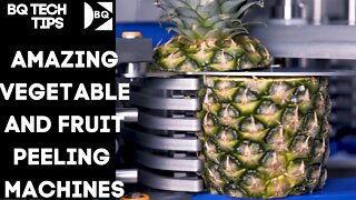 21st. CENTURY VEGETABLE AND FRUIT PEELING MACHINES