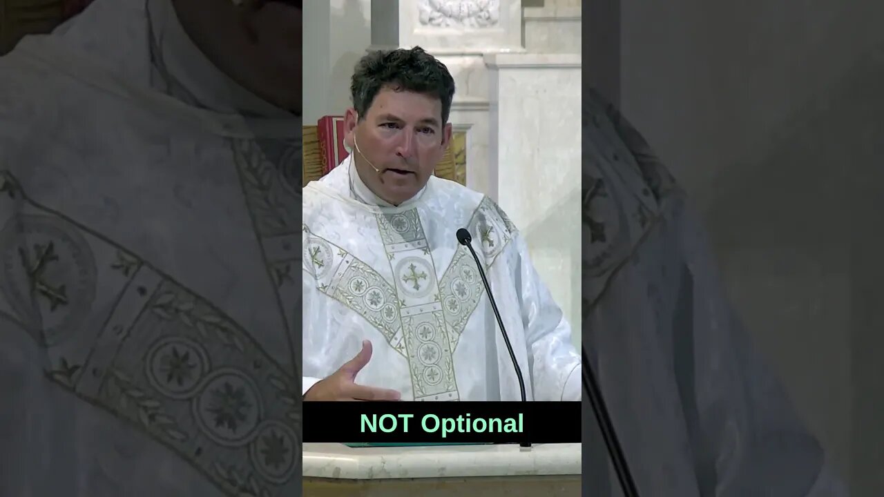 Do Others See Gods Light, In You? #shorts #catholic #homily #shortsvideo #frmikeoconnor