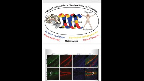 PRITZKER NEUROPSYCHIATRIC CONSORTIUM