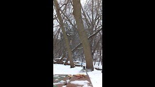 City Park Bench