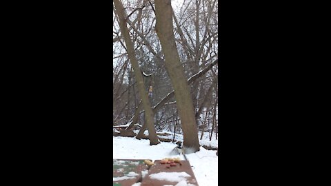 City Park Bench