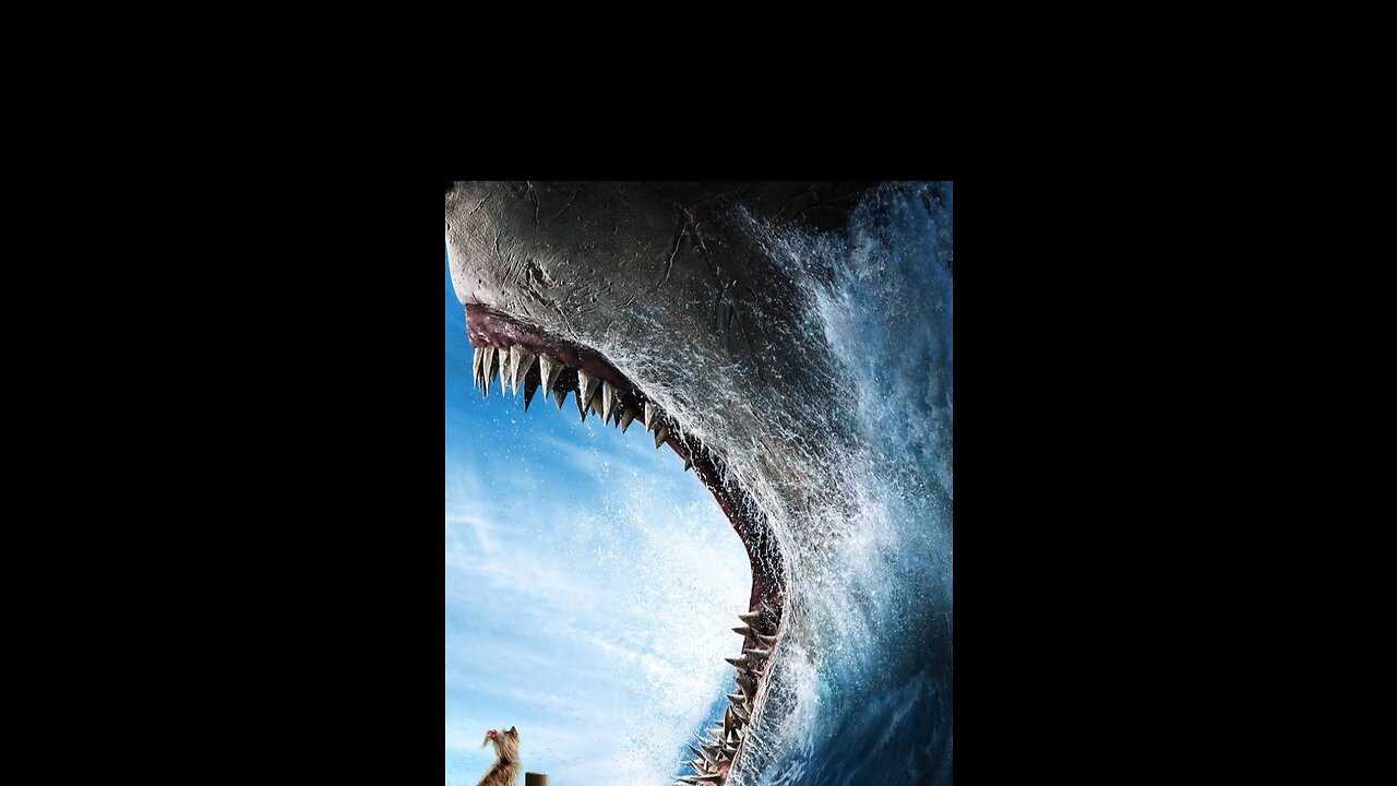 shark