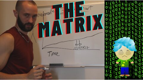 THE MATRIX IS NOT YOUR FRIEND