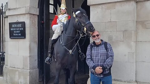 Horse rubs him self on tourist #horseguardsparade