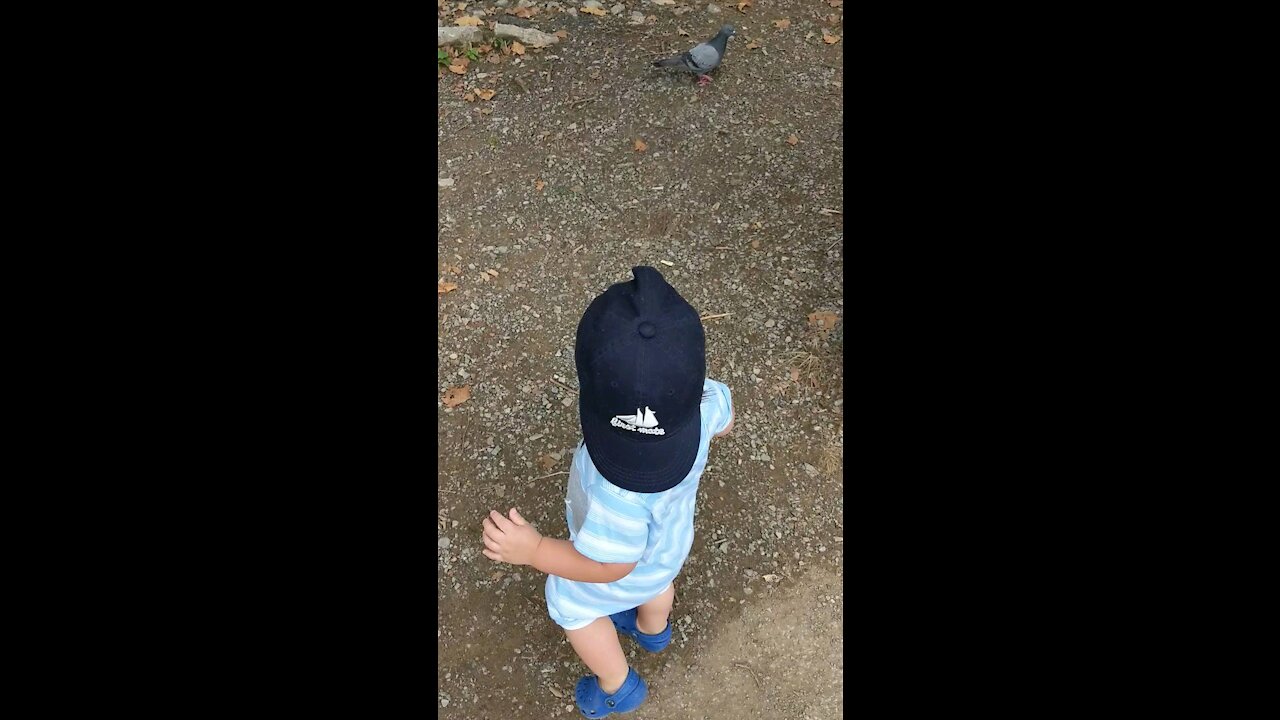 Cuteness over here