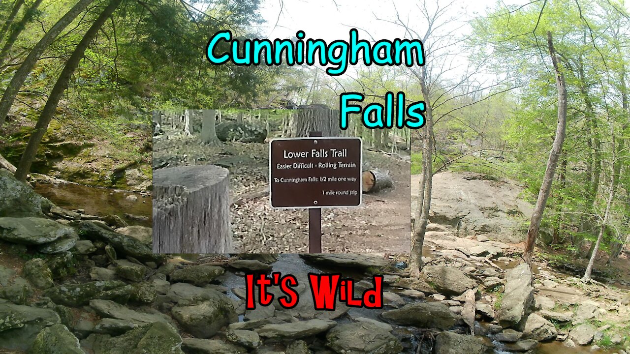 Cunningham Falls State Park – It’s Wild