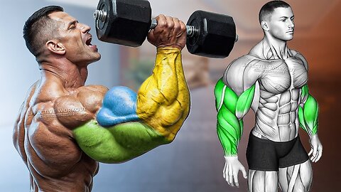 Biceps, Triceps, and Forearms (Effective Workout)