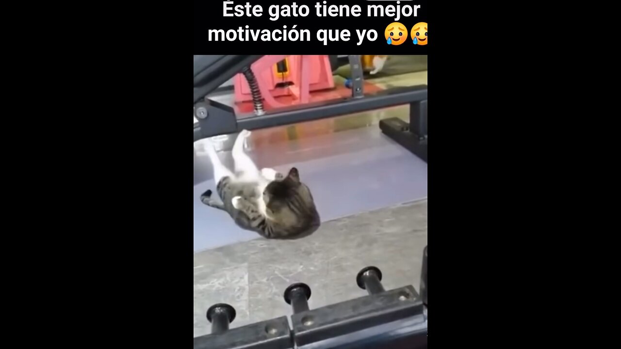 La Motivación