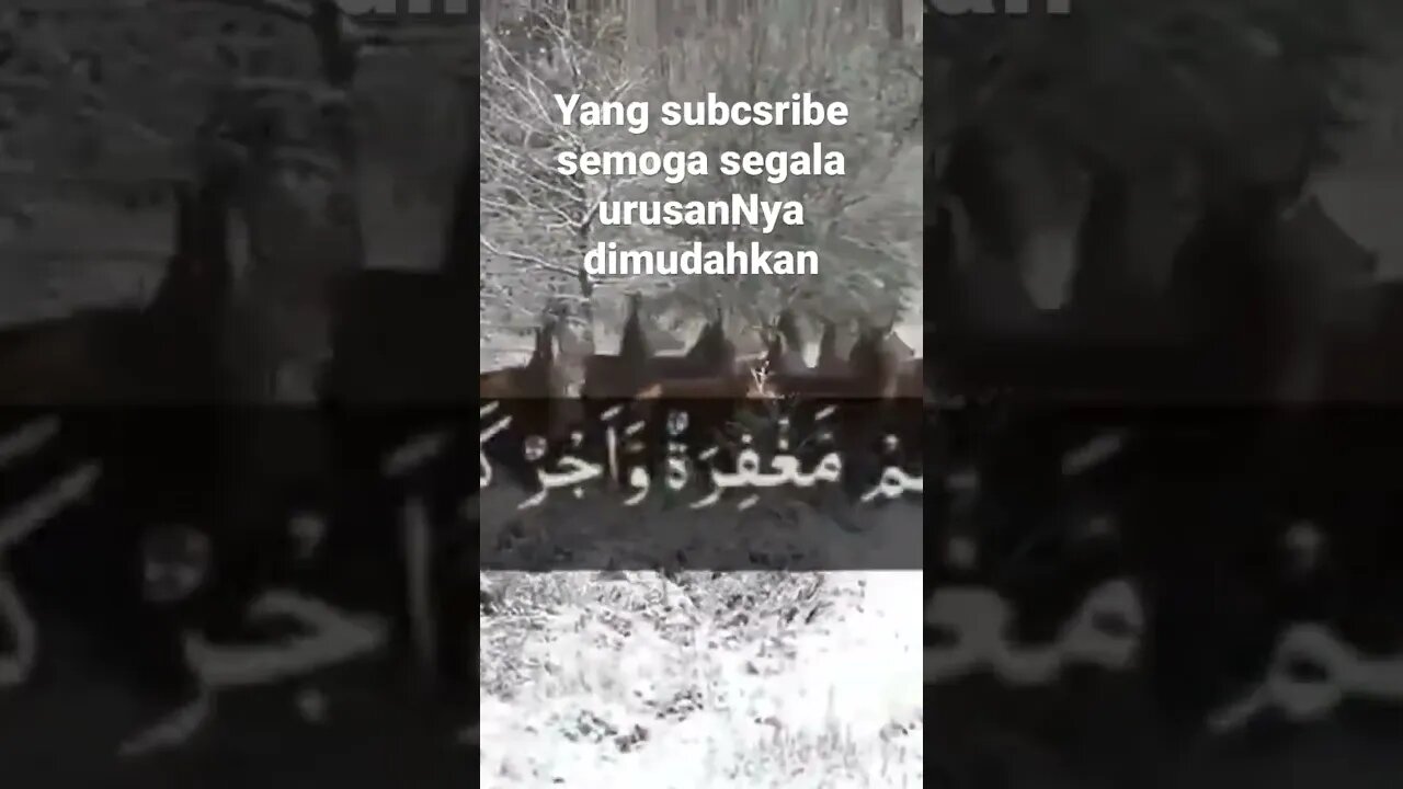 Keuntungan mengamalkan Surat AL-MULK || Syafaat dialam kubur || Kuburan diluaskan dengan Amalkan ini