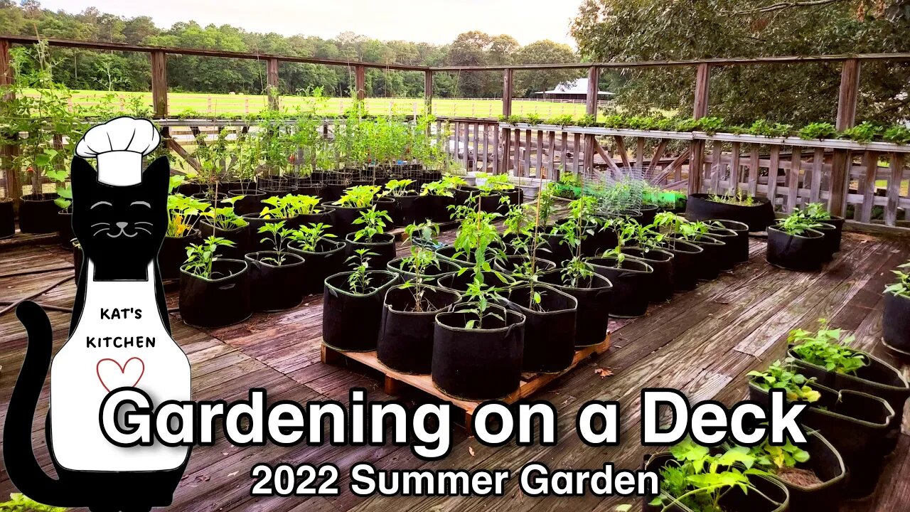 First Garden Ever at Rental House!!! Deck Garden Tour June 2022