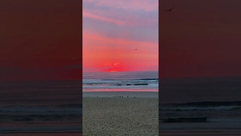 Red Sunrise over beach #beach #watersounds #asmr #sunrise #shortvideo #shortsfeed #viral #trending