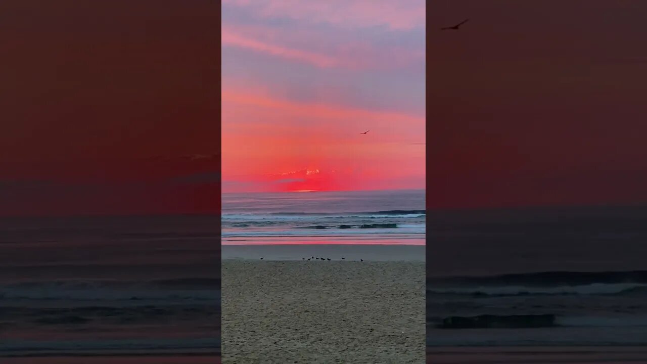 Red Sunrise over beach #beach #watersounds #asmr #sunrise #shortvideo #shortsfeed #viral #trending