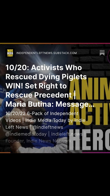 10/20: Right to Rescue Precedent Set By Activists Who Rescued Dying Piglets | JIMMY DORE: SATAN?!?