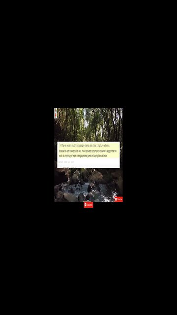 CMV All guns sold in the US should be hot pink