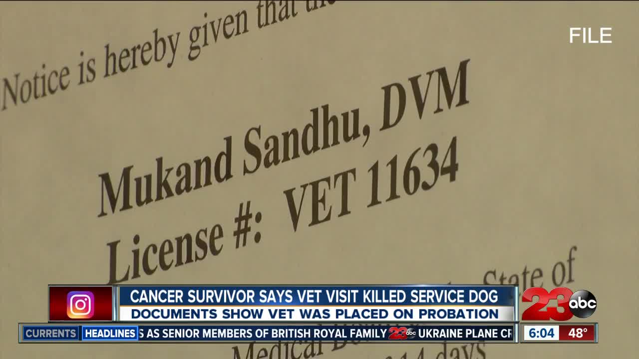 Cancer survivor says vet visit killed service dog