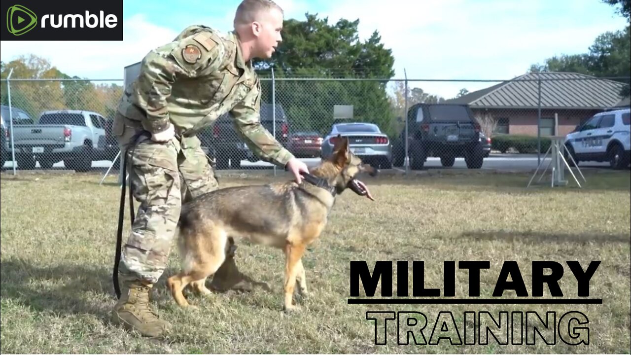 Security Forces Squadron Military Working Dog Handler B Roll SC, USA