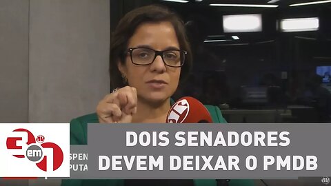 Vera: Dois senadores devem deixar o PMDB