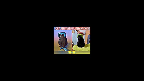 Cat animals funny video kids || #trending