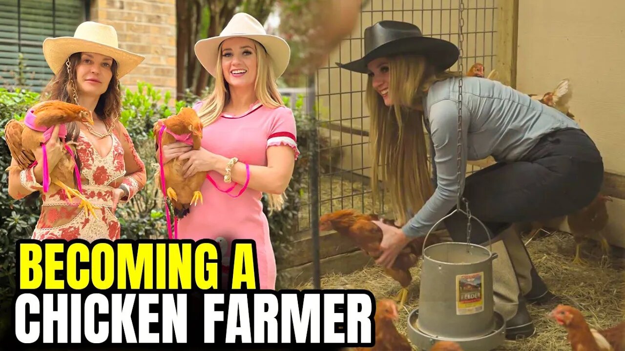 My New Life as a Chicken Farmer!