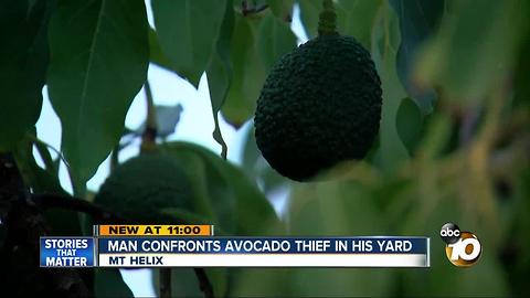 Man confronts avocado thief in his yard