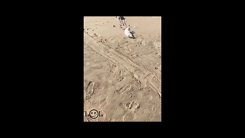 Don't Miss This Hilarious Video! #8