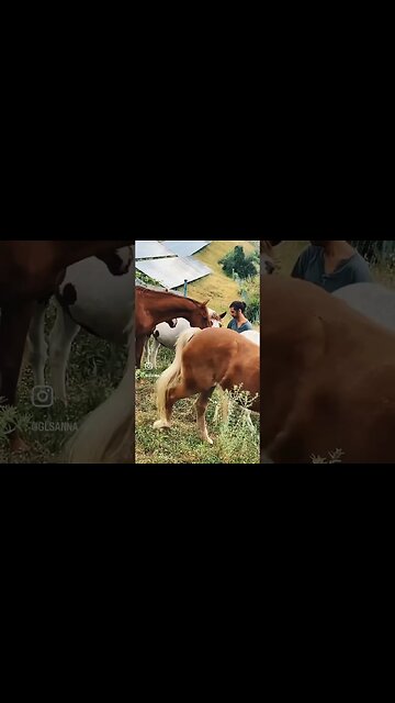 GET OUT!!! CONNECT WITH THE ELEMENTS