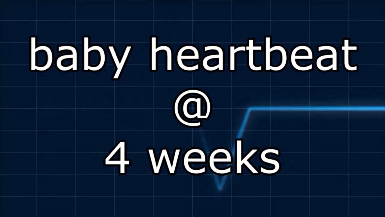 baby heartbeat @ 4 weeks