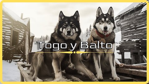 Togo y Balto Son Películas basadas en hechos reales históricos ❤️🐕‍🦺