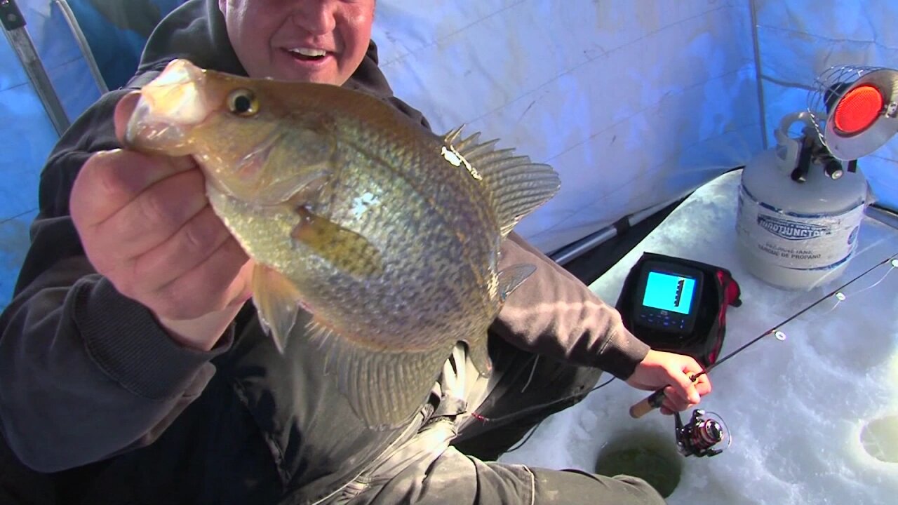 Lake Mille Lacs Panfish on Ice with Tony Roach