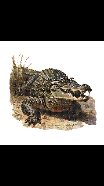 VINTAGE ALLIGATOR Cross Stitch Pattern by Welovit Cross Stitch | welovit.net | #welovit #crossstitch