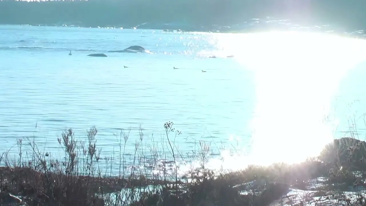 Bäcken II