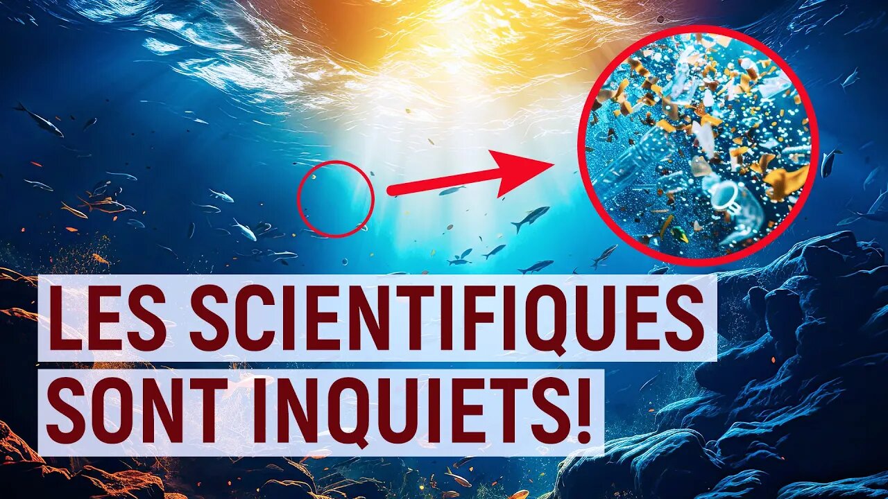 🚨Le cri de désespoir de l'océan mourant!🚨