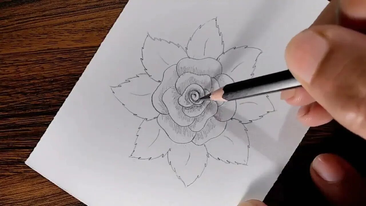 How to draw a Rose step by step