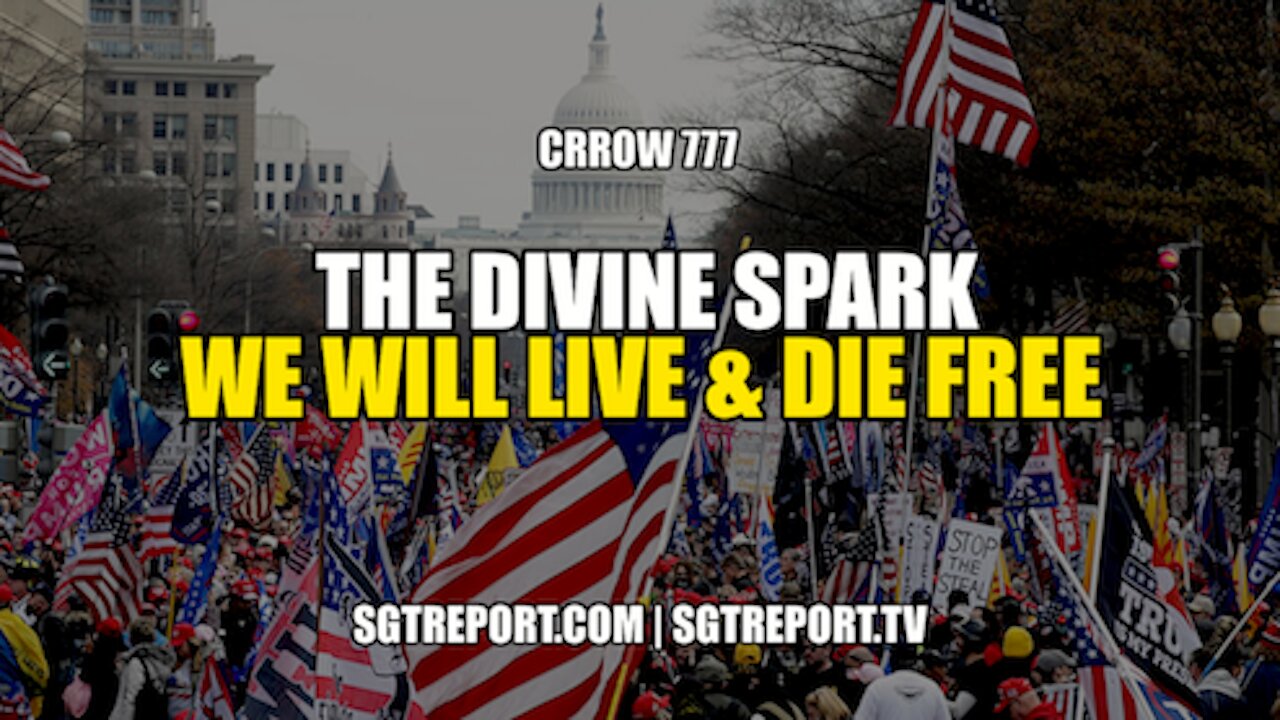 THE DIVINE SPARK: WE WILL LIVE FREE & DIE FREE