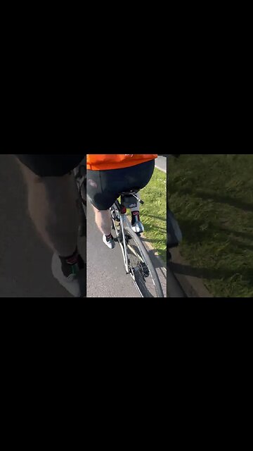 That's one way to carry your ROAD BIKE TOOLS!