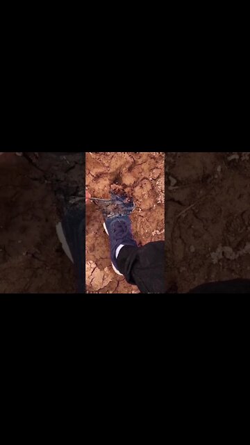 Most Amazing and trending video||relaxing your mind||trendig videos|| #shorts #trending #viral #live