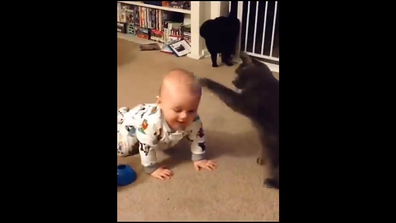 Cute Baby Playing With Animals